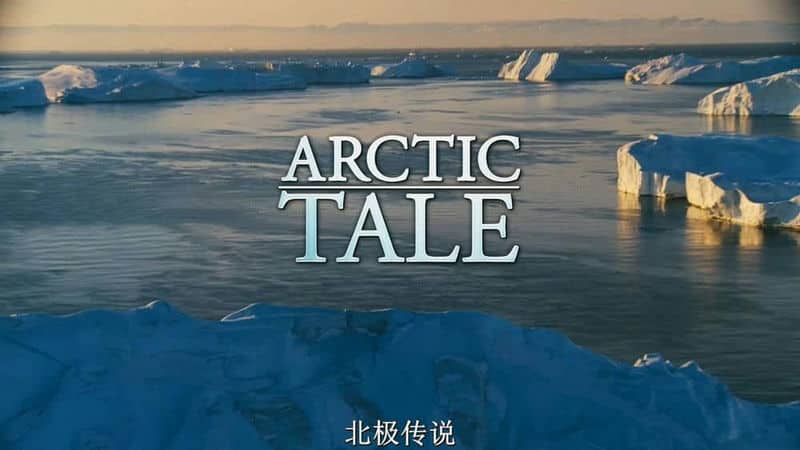 纪录片《北极故事 Arctic Tale》第1季中文字幕 – 1080P高清下载 纪录片《北极故事 Arctic Tale》第1季中文字幕 – 1080P高清下载
